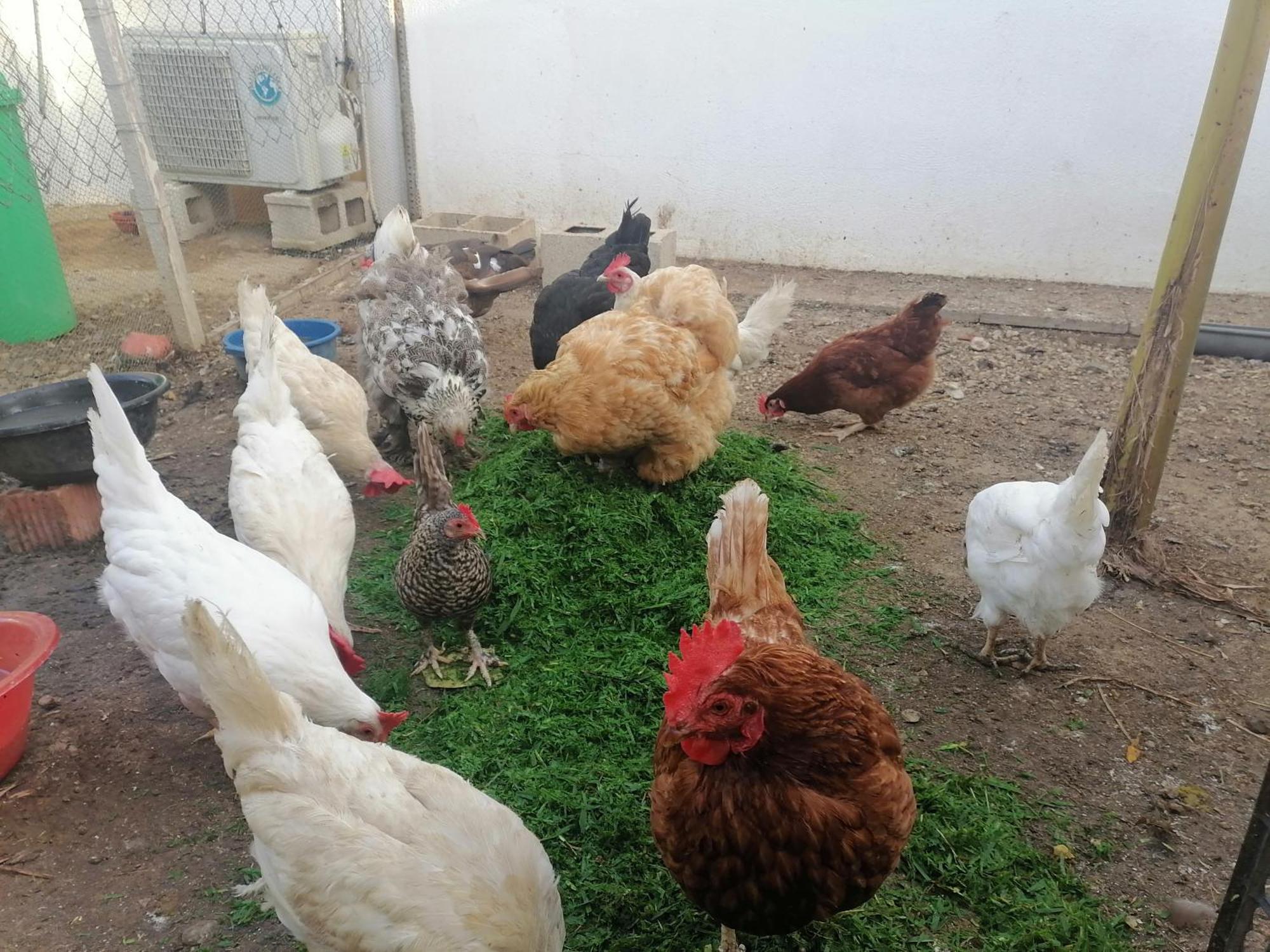 Mis Princesas En Casa Chiclana de la Frontera Εξωτερικό φωτογραφία